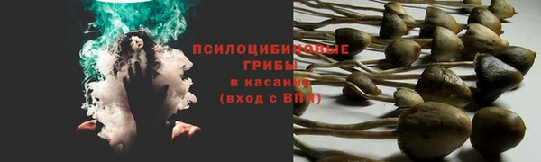 бутират Мегион