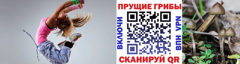 Псилоцибиновые грибы прущие грибы  купить наркотик  мега рабочий сайт  Щёлково 